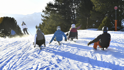 Comparison of sleds for 2021